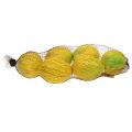 Floristik24 Decoratieve citroenen 10cm 6st