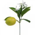 Floristik24 Decoratietak citroen en bloemen kunsttak zomerdecoratie 26cm 4st