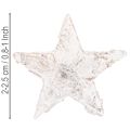 Berken sterretjes mini 2cm - 2,5cm witgeverfd 150 stuks | Floristik24.nl