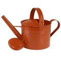 Decoratieve metalen gieter in landelijke stijl, oranje-bruin, 26 cm, 5 liter - Veelzijdig te gebruiken als plantenbak en decoratieve gieter | Floristik24.nl