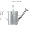 Decoratieve gieter, retro design, metaal, zilver, 42x15,5x27cm, vintage balkondecoratie, bloempot | Floristik24.nl