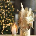 Decoratief pampasgras crème droog gras gebleekt 95cm 3 st | Floristik24.nl