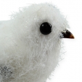 Floristik24 Sneeuwvogel 14cm met clip