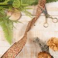 Decoratieve linttakken met rode glitterbessen, 40 mm x 15 m | Floristik24.nl