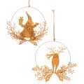 Floristik24 Kerstdecoratie ring, rendier in een ring, Kerstman met cadeau, metalen decoratie, roestige afwerking, Ø18cm, set van 2