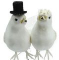 Floristik24 Paar duiven met hoed en sluier 13cm 4st