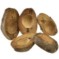 Floristik24 Kokosplantenbak, naturel, 20 cm, 5 stuks