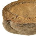 Kokosplantenbak, naturel, 20 cm, 5 stuks | Floristik24.nl
