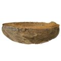 Kokosplantenbak, naturel, 20 cm, 5 stuks | Floristik24.nl