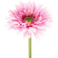 Floristik24 Kunstmatige gerbera's voor in de tuin, roze, 47 cm, 6 stuks