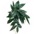 Floristik24 Kunst Begonia Kunstplant Groen, Donkergroen 42×28cm