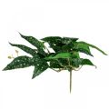 Floristik24 Kunst Begonia Kunstplant Groen, Donkergroen 42×28cm