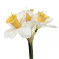 Floristik24 Kunstnarcis Zijden Bloemen Witte Narcis 40cm 3st