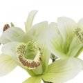 Floristik24 Kunstorchideeën kunstbloemen in vaas wit/groen 28cm