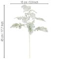 Kunstmatige Senecio-tak (jakobskruid), vakkundig vervaardigd, 45 cm, 3 stuks | Floristik24.nl