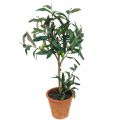 Kunst olijfboom in pot Kunstplant Olijf H63.5cm