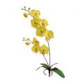 Floristik24 Orchidee kunst geel 68cm