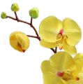 Floristik24 Orchidee kunst geel 68cm