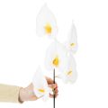 Kunstmatige callalelie met gele meeldraden, decoratieve bloemen, 35 cm, 10 stuks | Floristik24.nl
