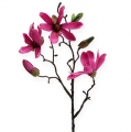 Floristik24 Magnoliatak roze 45cm 4st