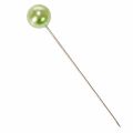 Spelden met parelkop, appelgroen, Ø10 mm, 60 mm | Floristik24.nl