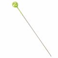 Parelkopspelden Ø6mm 65mm appelgroen | Floristik24.nl