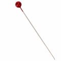 Parelkopspelden Ø6mm 65mm Rood | Floristik24.nl