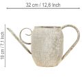 Vintage metalen plantenpot/gieter, antieke tuindecoratie, 32x10,5x18cm | Floristik24.nl
