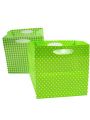 Floristik24 Plastic zak 10.5x10.5cm 16st. groen