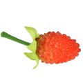 Wilde aardbeien 3,5cm 24 st | Floristik24.nl